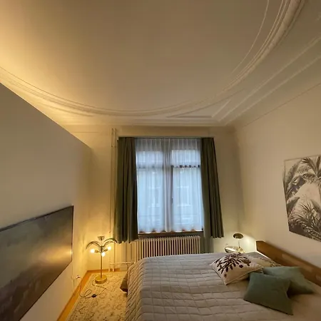Daire Exclusive Next To Main Station Zürih